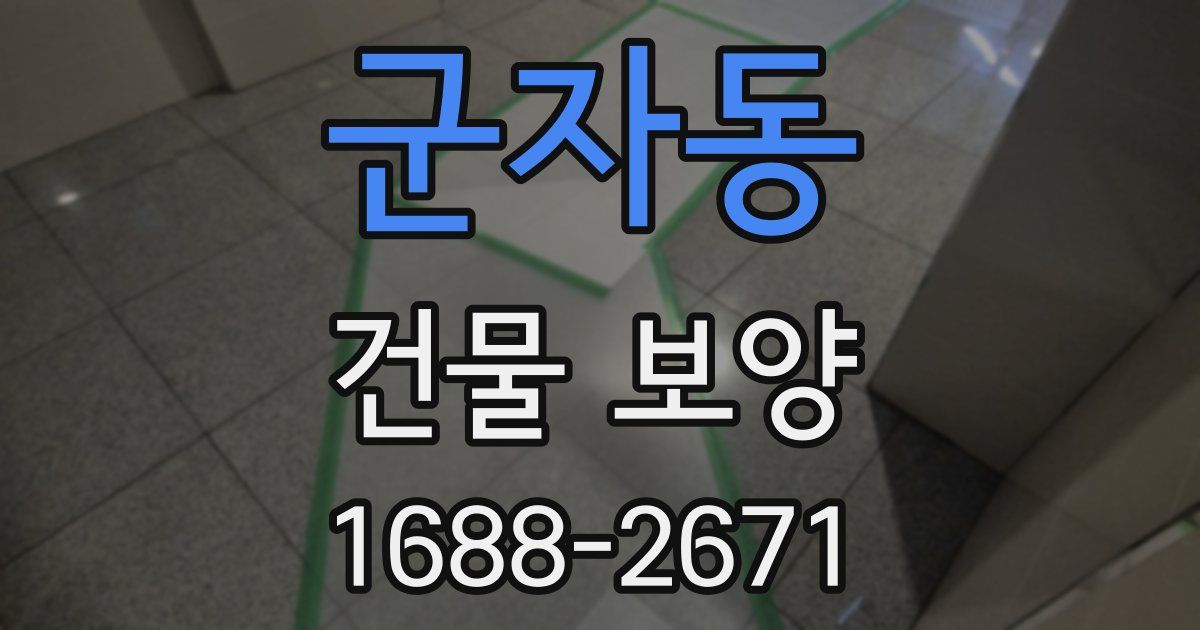 군자동 건물 보양