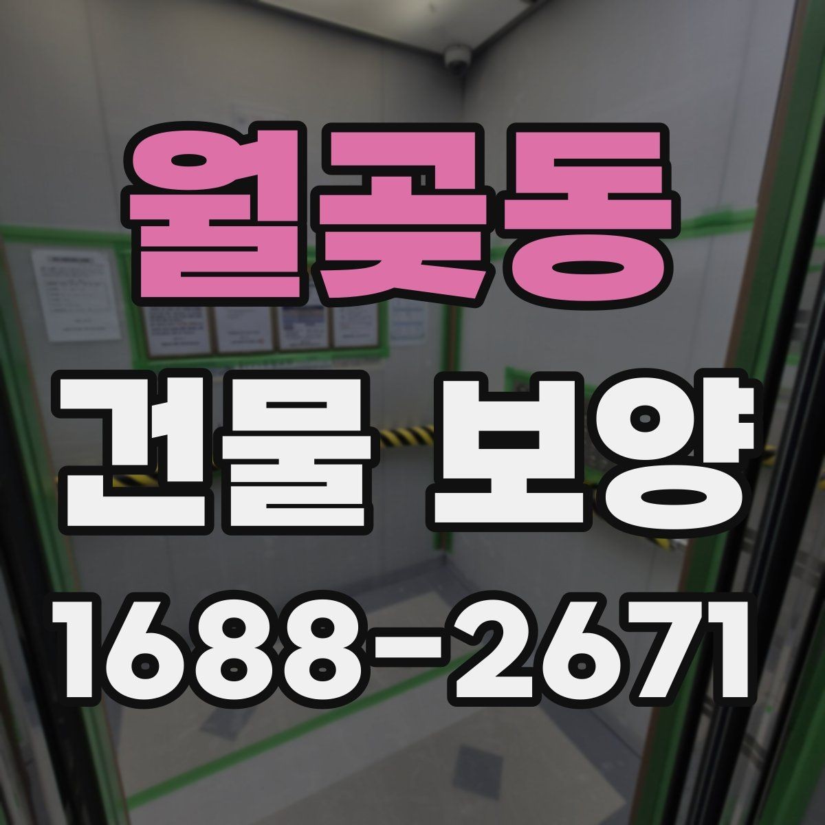 월곶동 건물 보양 현장 운영 효율을 높이는 팁