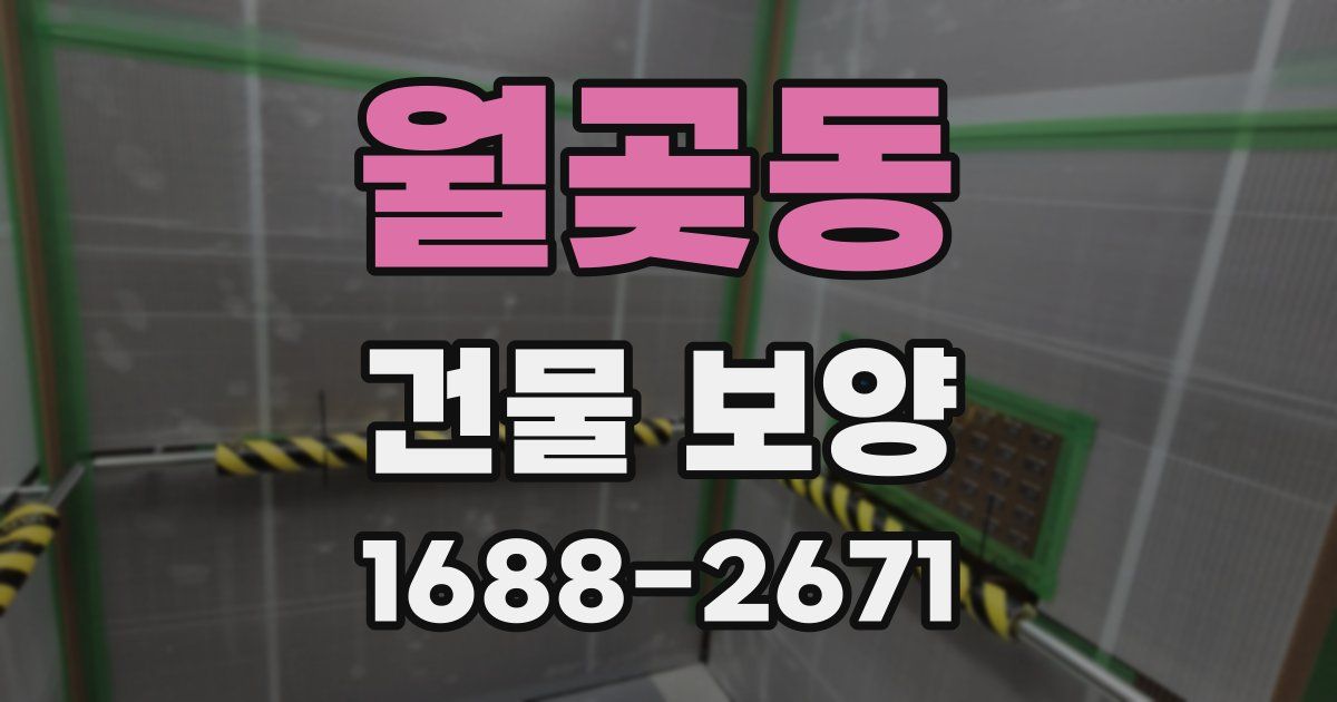 월곶동 건물 보양