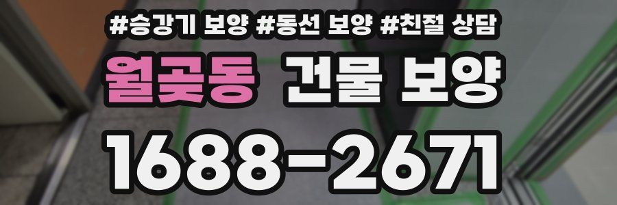 월곶동 건물 보양
