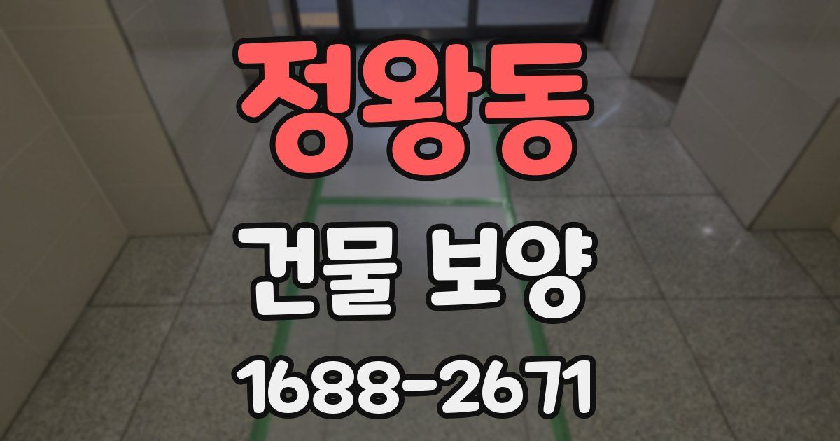정왕동 건물 보양