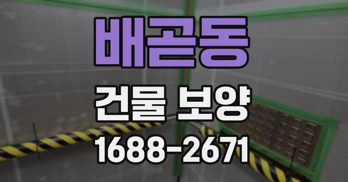 배곧동 건물 보양