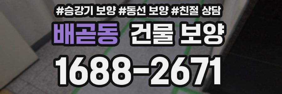 배곧동 건물 보양