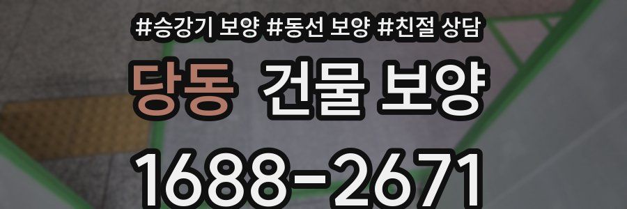 당동 건물 보양