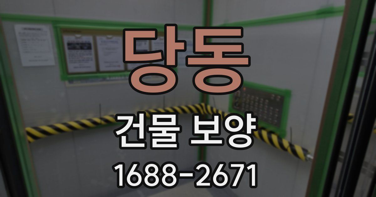 당동 건물 보양