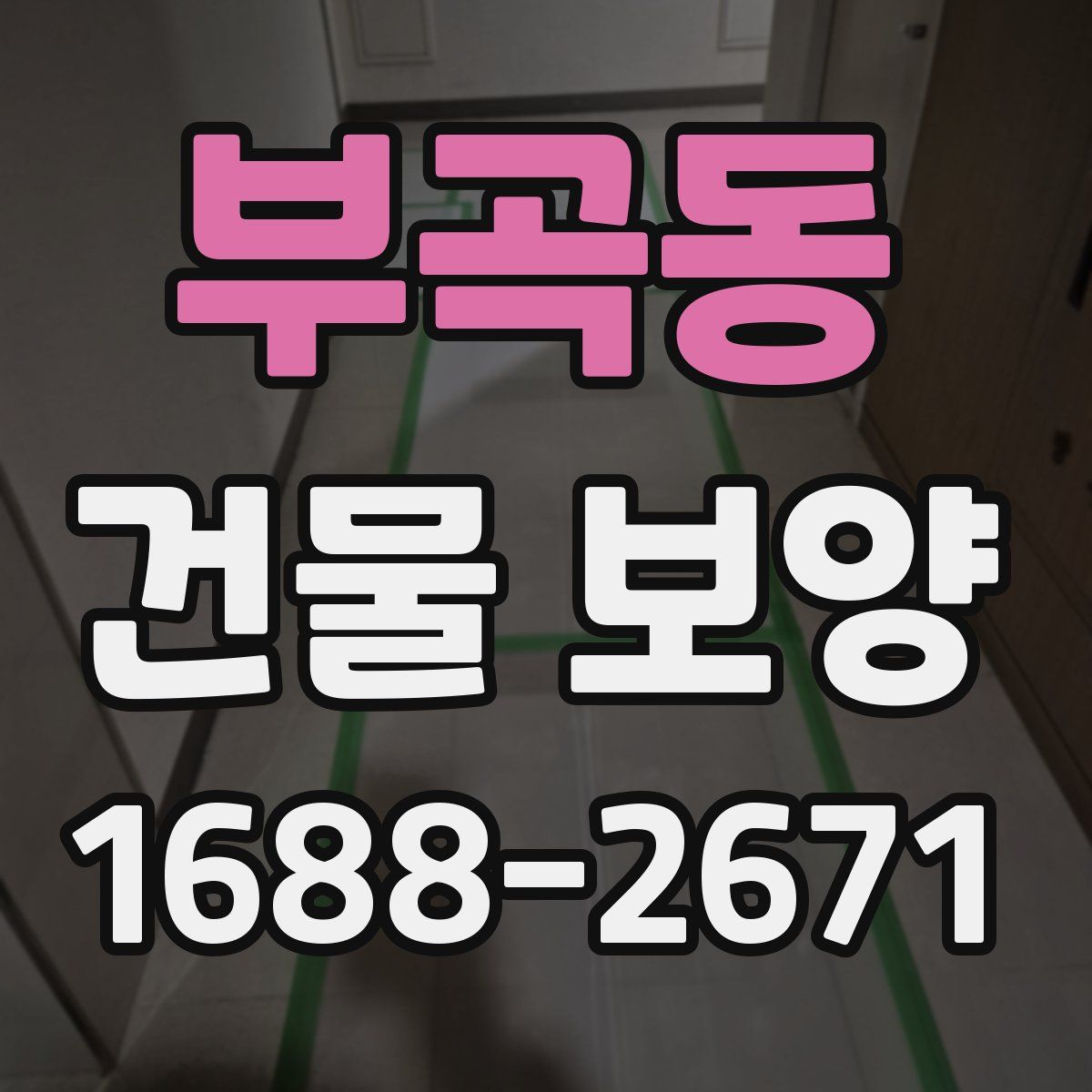 부곡동 건물 보양