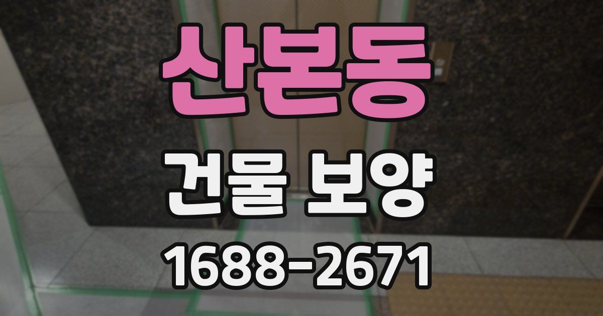 산본동 건물 보양