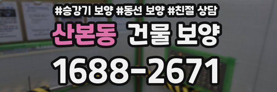 산본동 건물 보양