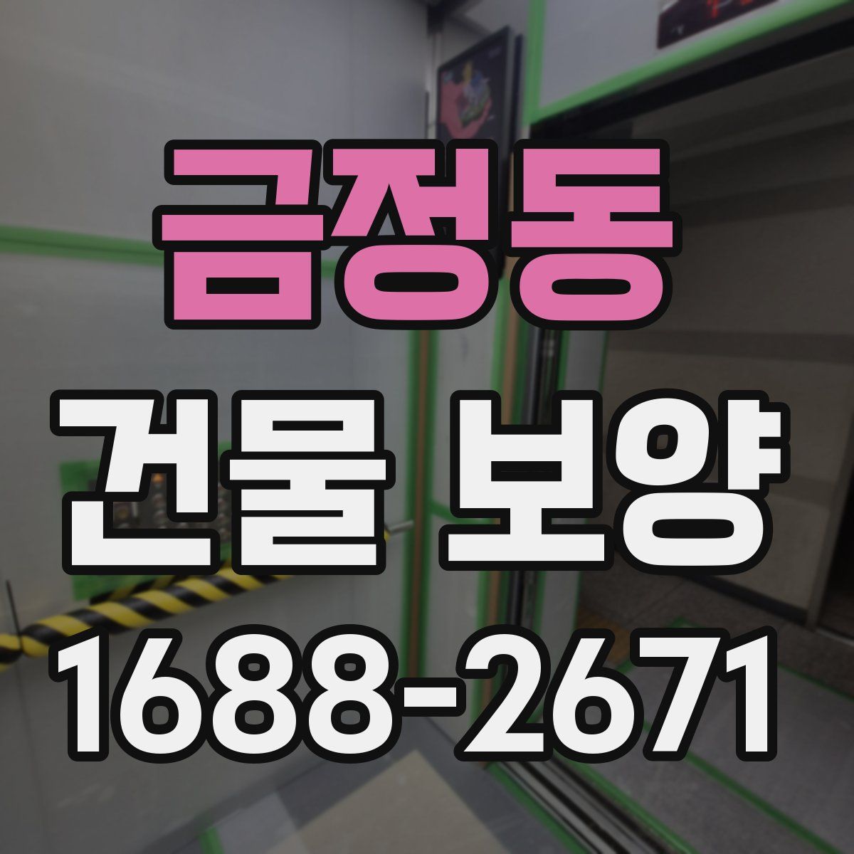 금정동 건물 보양