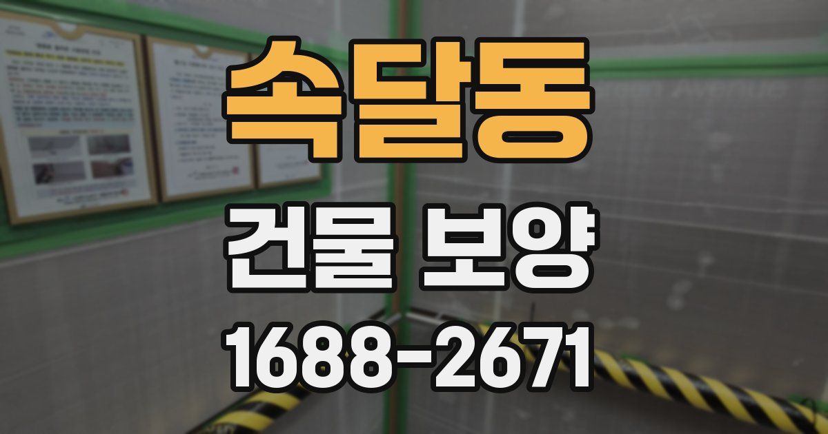 속달동 건물 보양