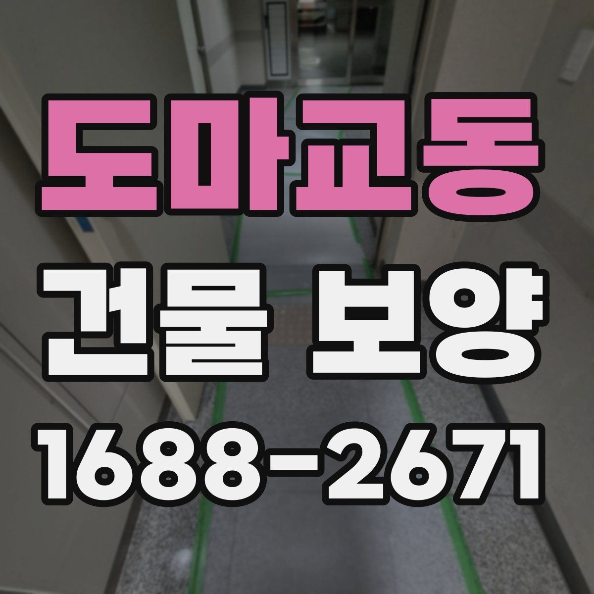 도마교동 건물 보양 종류별 사용 용도와 차이