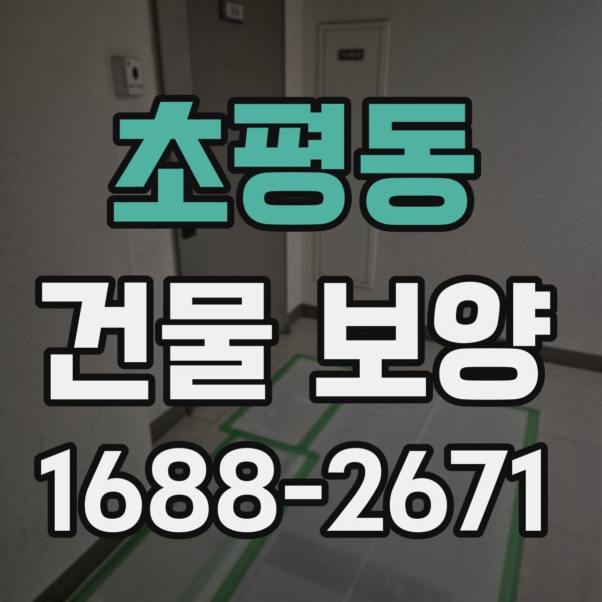 초평동 건물 보양 작업 전 꼭 확인할 사항