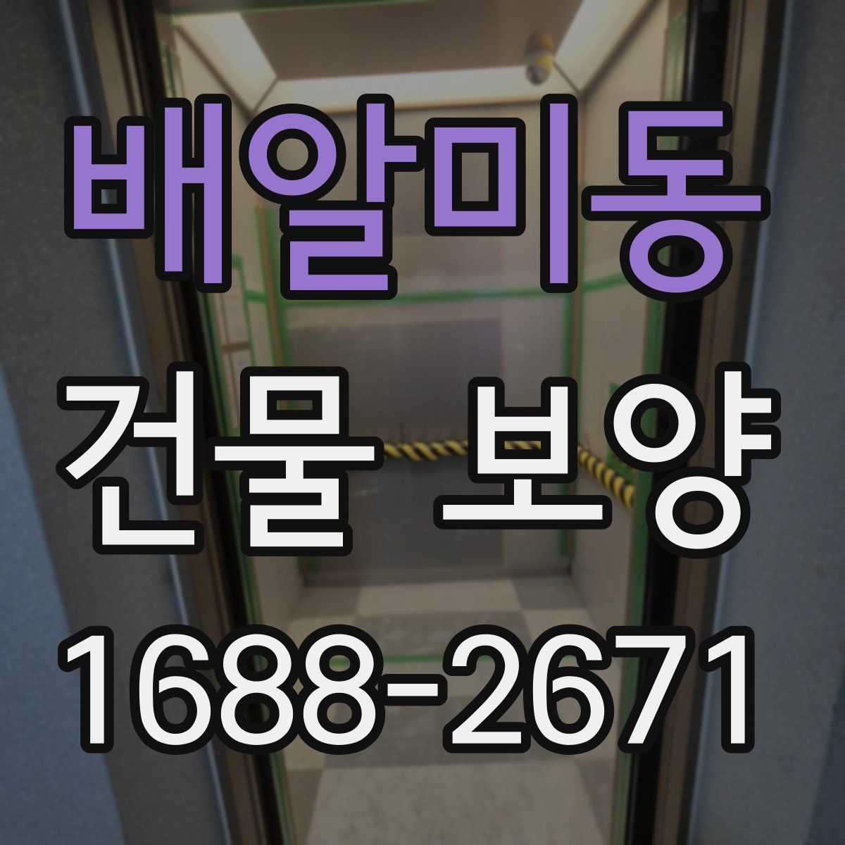 배알미동 건물 보양