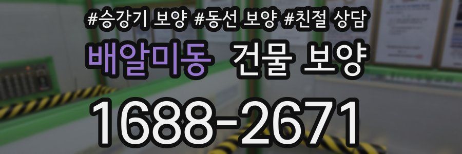 배알미동 건물 보양