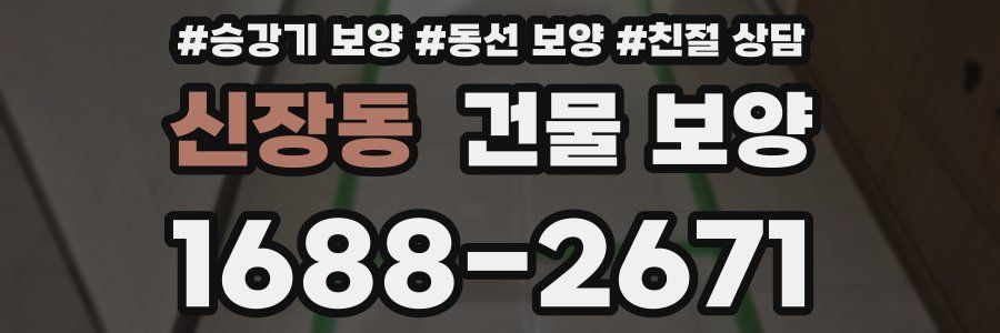 신장동 건물 보양
