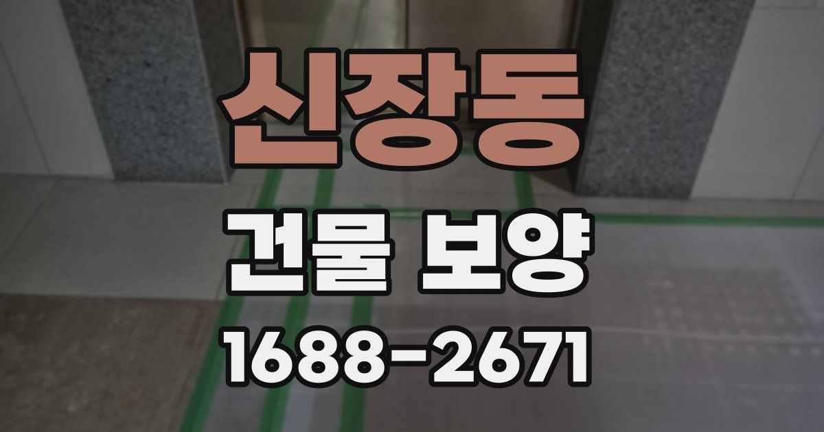 신장동 건물 보양