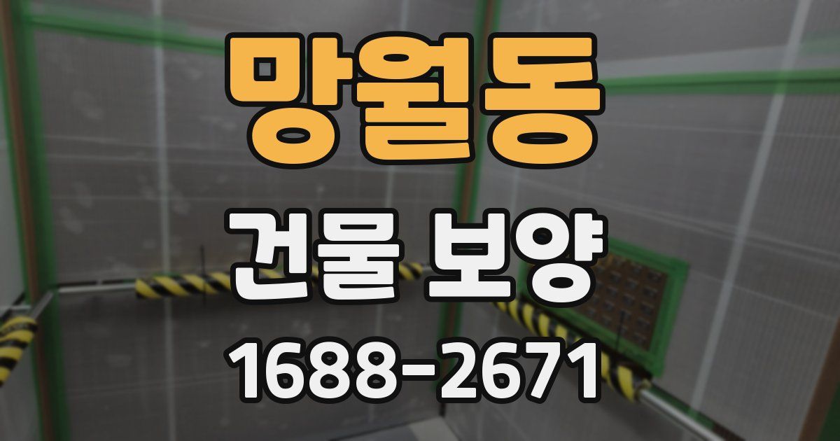 망월동 건물 보양