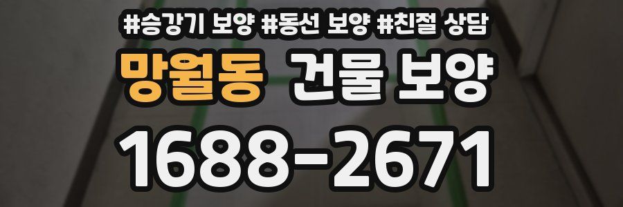 망월동 건물 보양
