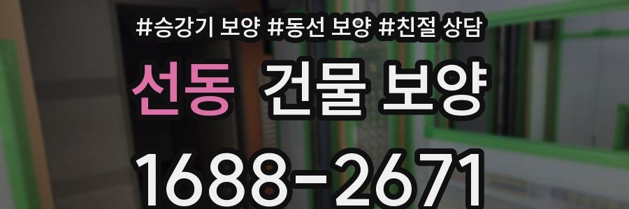 선동 건물 보양