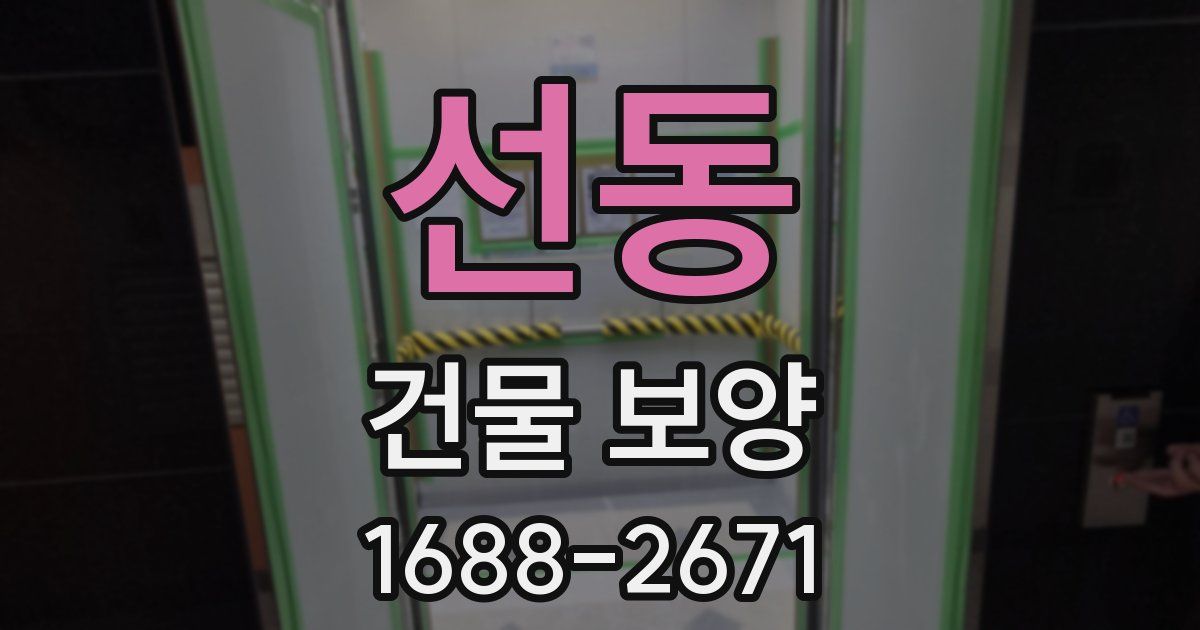 선동 건물 보양