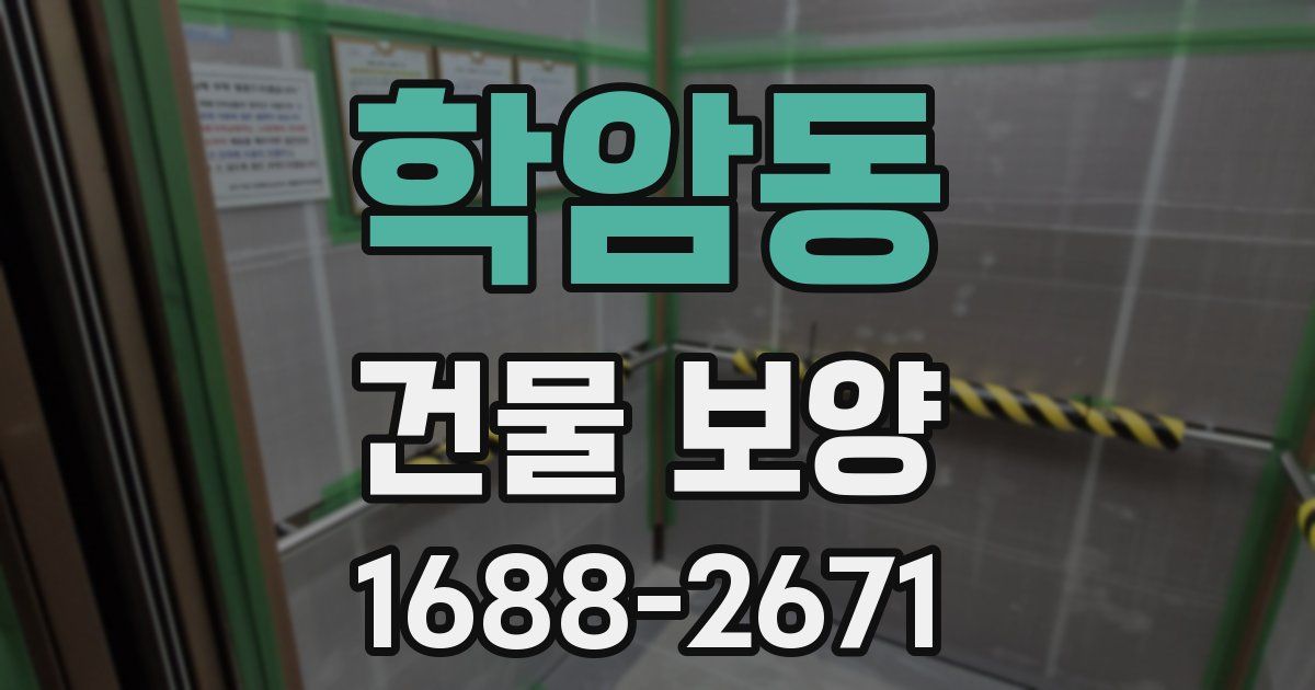 학암동 건물 보양