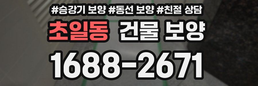 초일동 건물 보양