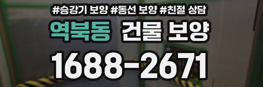 역북동 건물 보양