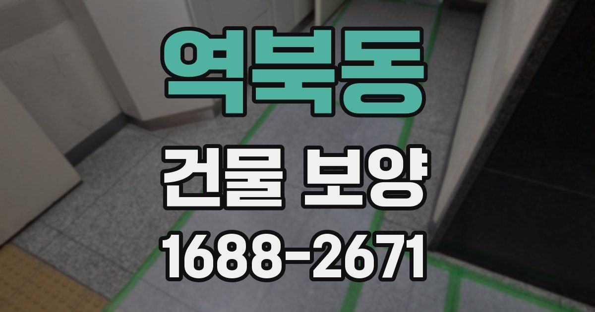역북동 건물 보양