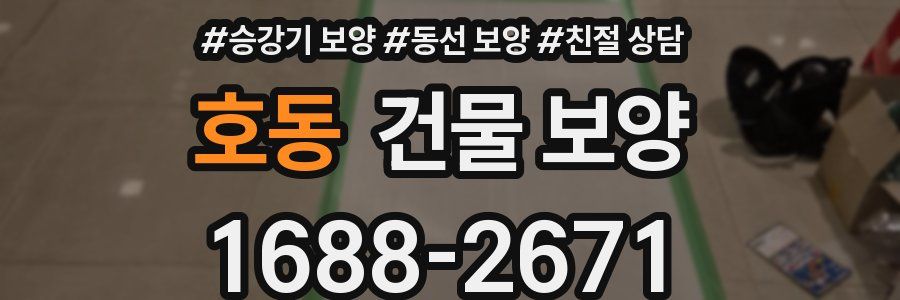 호동 건물 보양