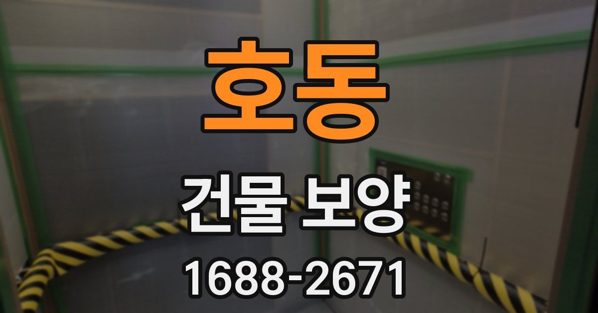 호동 건물 보양
