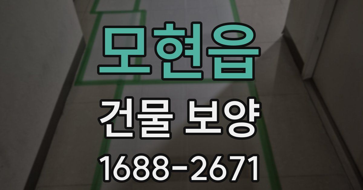 모현읍 건물 보양