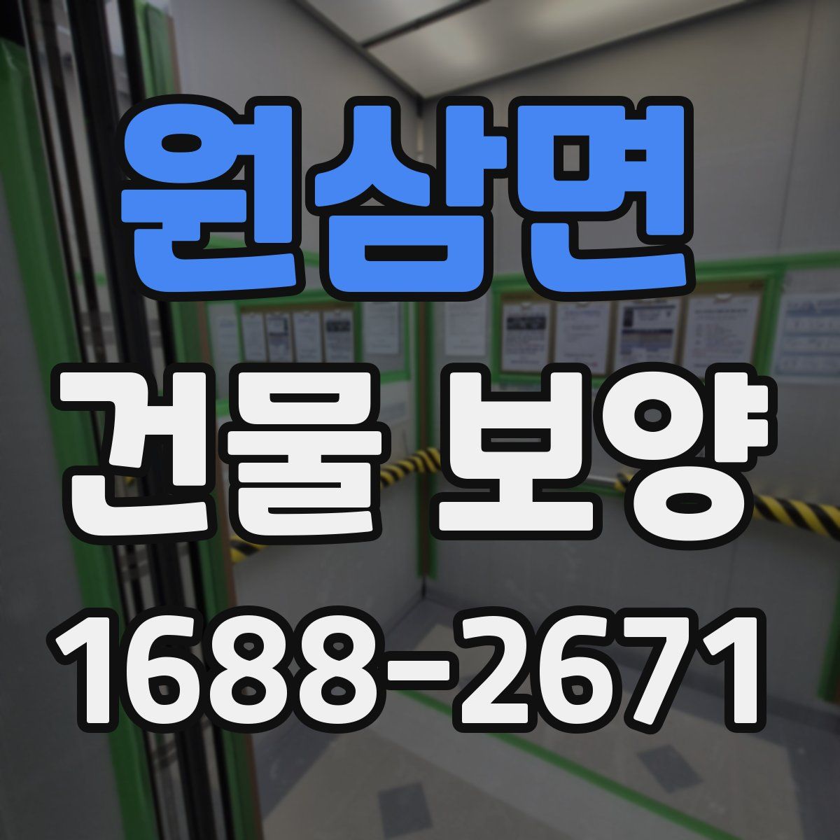 원삼면 건물 보양