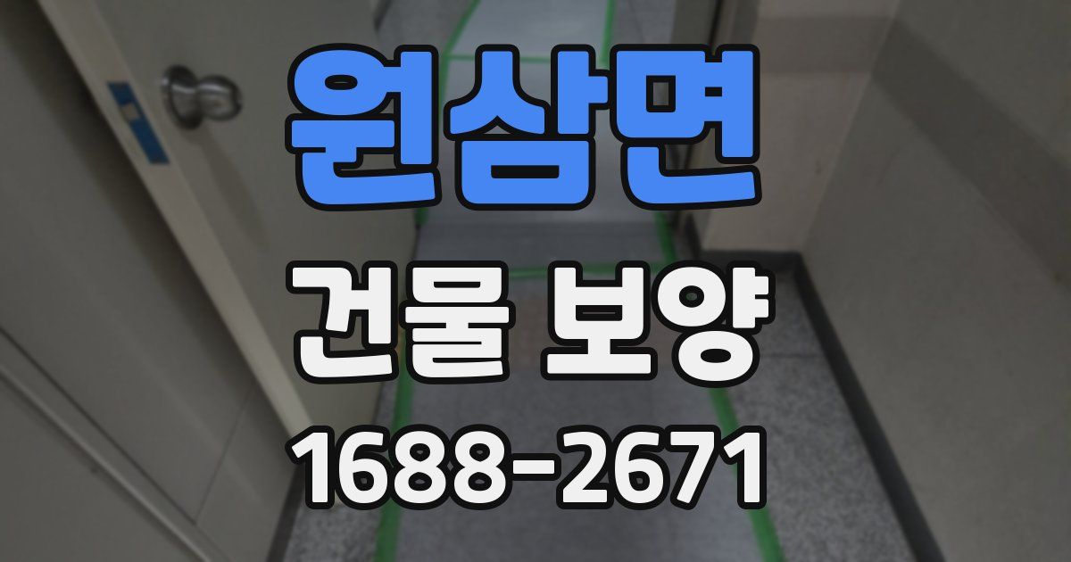 원삼면 건물 보양