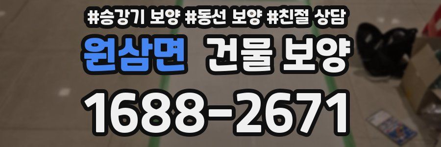 원삼면 건물 보양