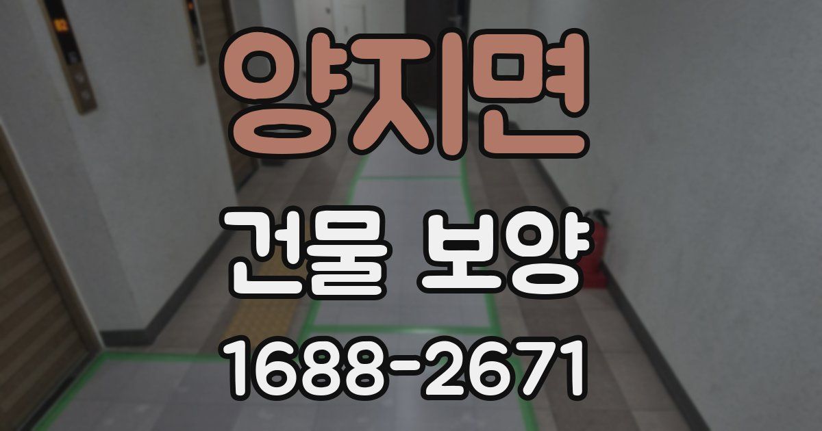 양지면 건물 보양