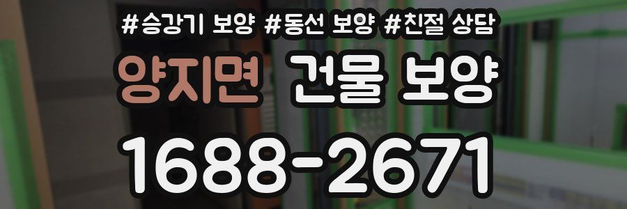 양지면 건물 보양