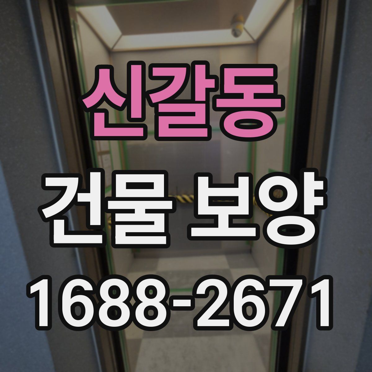 신갈동 건물 보양