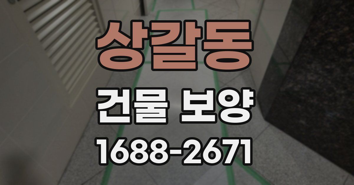 상갈동 건물 보양