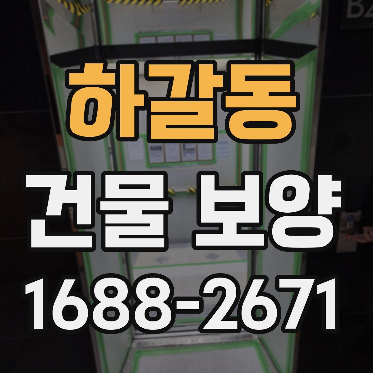 하갈동 건물 보양
