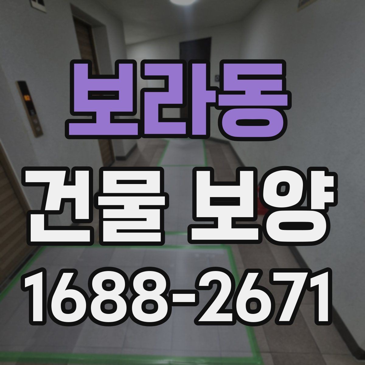 보라동 건물 보양 범위를 넓힐 때 생기는 변수