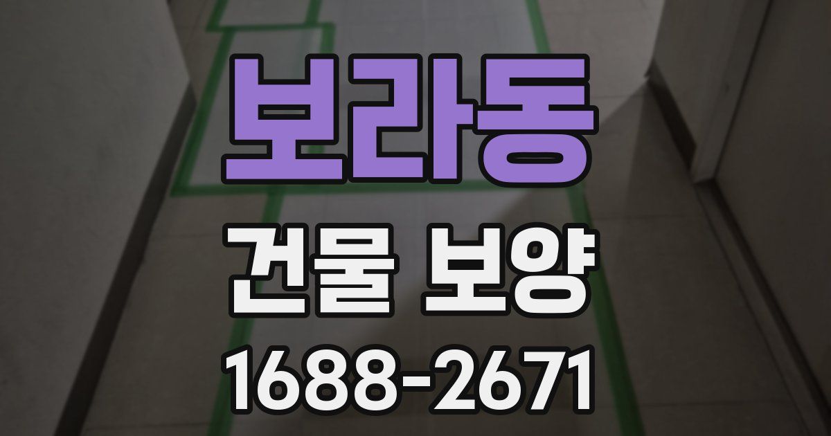 보라동 건물 보양