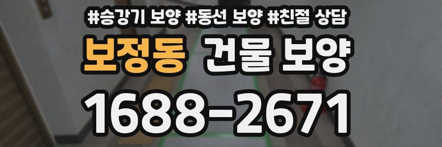 보정동 건물 보양