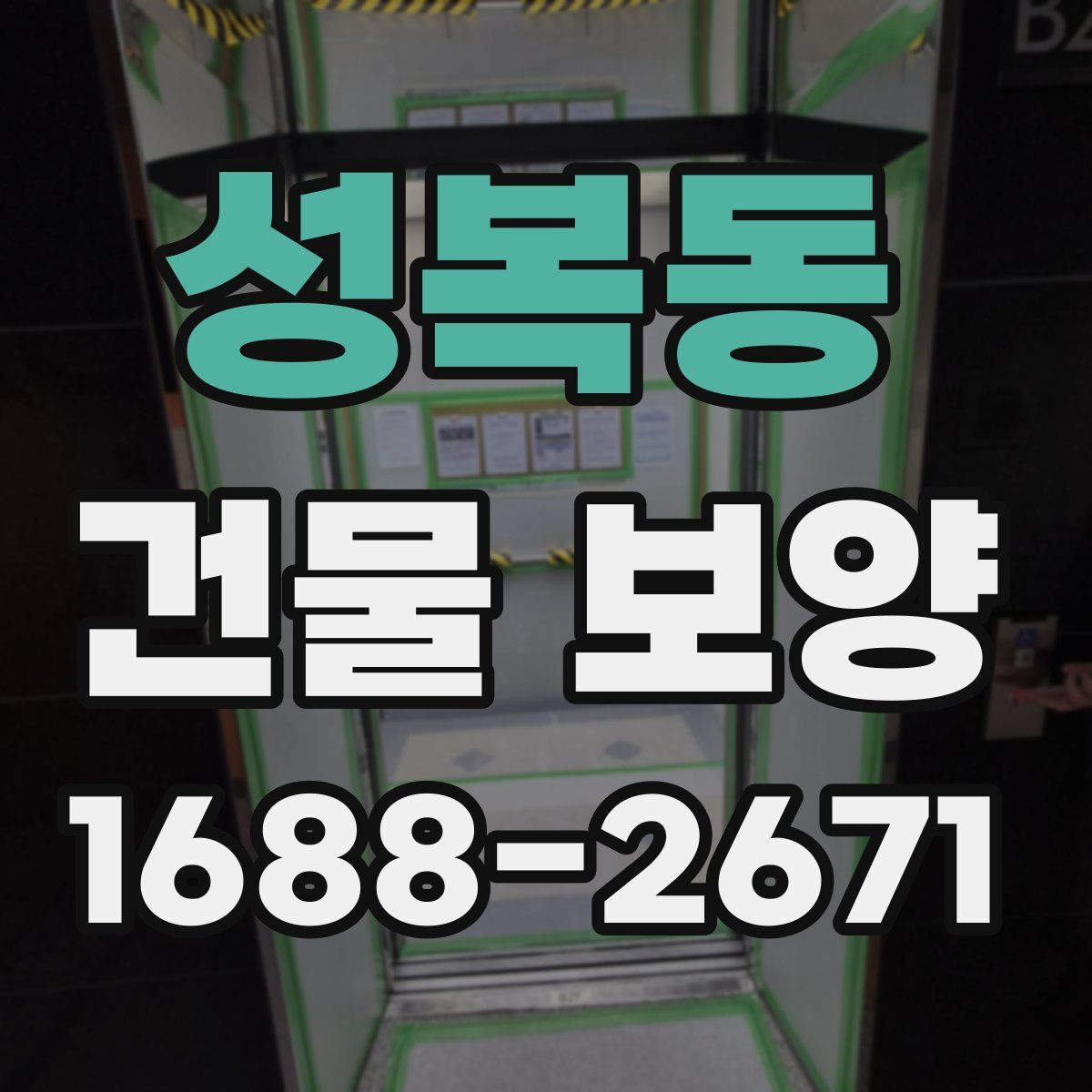 성복동 건물 보양