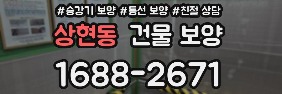 상현동 건물 보양