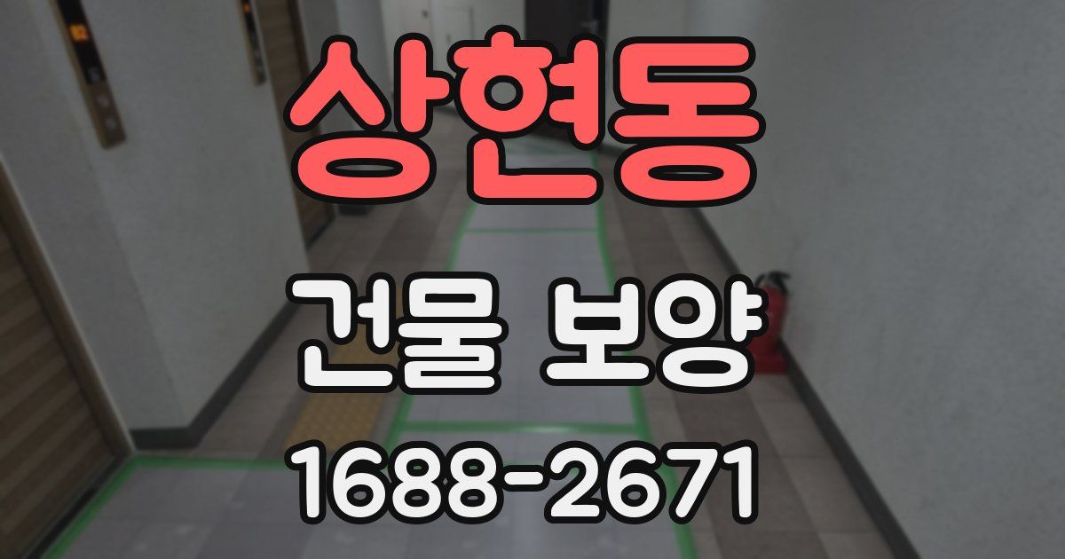 상현동 건물 보양