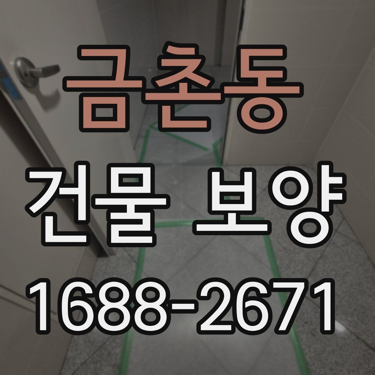 금촌동 건물 보양 현장 사례로 보는 적용 포인트