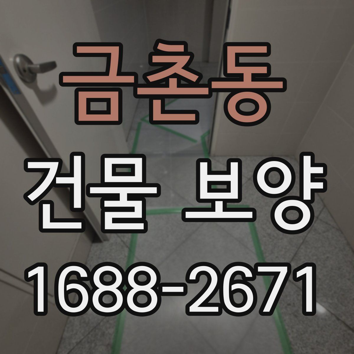금촌동 건물 보양
