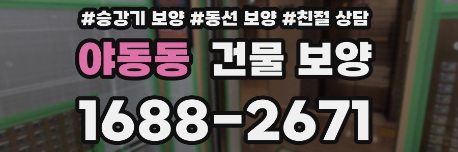 야동동 건물 보양