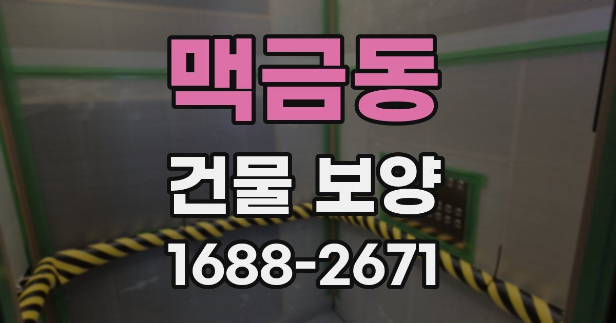 맥금동 건물 보양