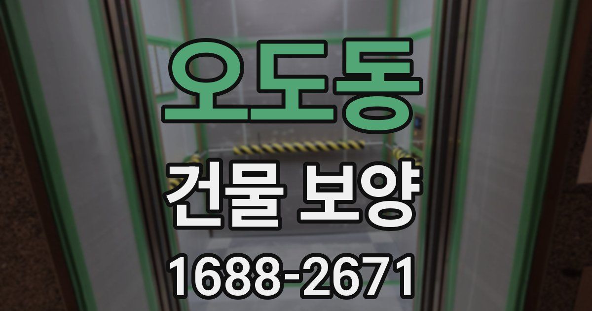 오도동 건물 보양